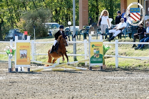 Concorso 8 ottobre 20170146