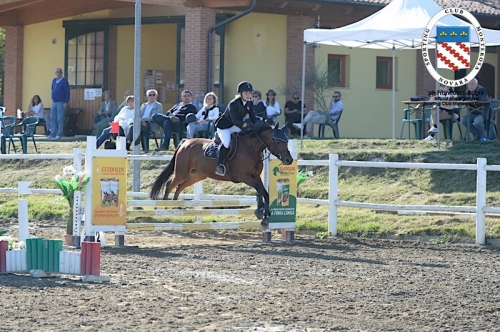 Concorso 8 ottobre 20170200